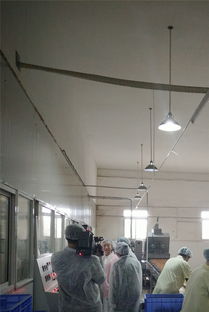 祝賀宜昌華爾食品公司榮獲市食品示范企業(yè)稱號，引領(lǐng)餅干行業(yè)新發(fā)展